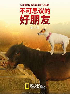 不可思议的好朋友第三季