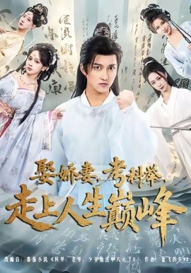 娶娇妻，考科举，走上人生巅峰