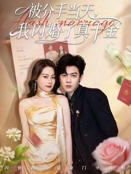 被分手当天，我闪婚了真千金 刚分手被美女姐姐拉去领证