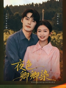 夜色卿卿染
