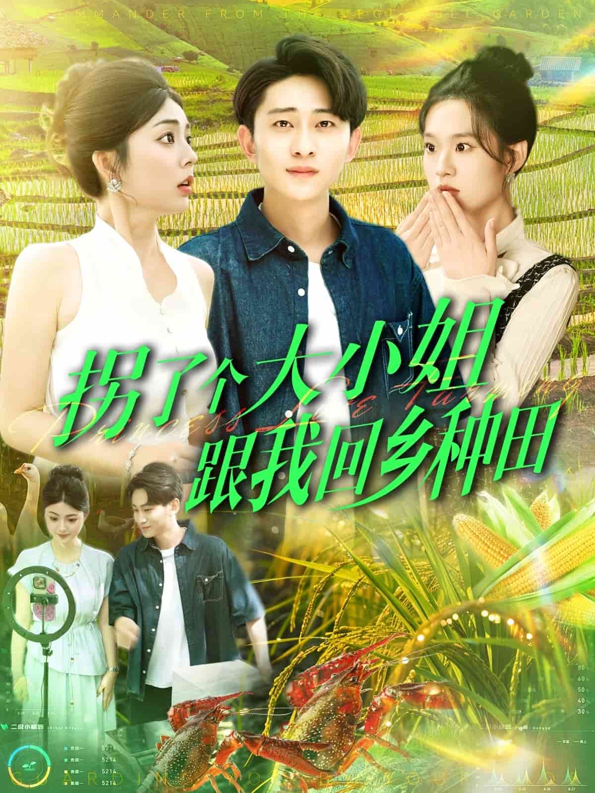 拐了个大小姐跟我回乡种田