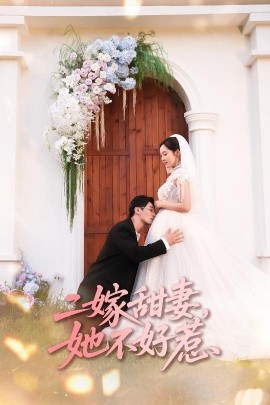 二嫁甜妻她不好惹