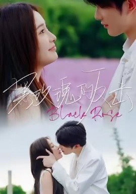 黑玫瑰的反击