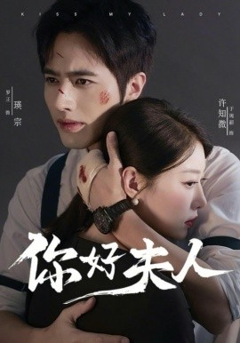 你好夫人